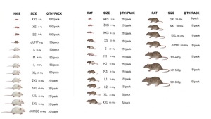 หนูแช่แข็งคุณภาพสูง โปรตีนสูง สำหรับงูและสัตว์เลื้อยคลาน - อาหารเสริมโปรไบโอติกสำหรับสัตว์เลี้ยง - จำหน่ายส่งจำนวนมาก ยั่งยืนได้ - Product Image 2
