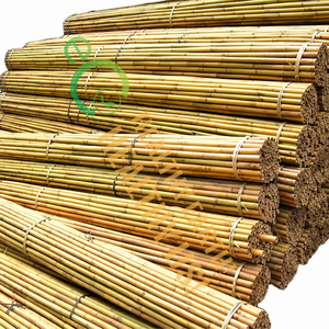 Eco2go Vietnam Piquets de Bambou pour Plantes |   Supports de treillis de jardin en bois |   Pôles en bambou naturel durable pour plantes grimpantes en vrac - Product Image 2