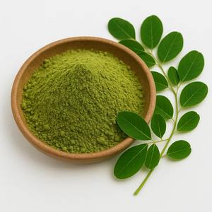 Poudre de feuilles de Moringa Oleifera naturelle WARRLY, extrait végétal 99% pur, qualité alimentaire, séchée par pulvérisation, emballée sous vide, approvisionnement en vrac, Gujarat - Product Image 2