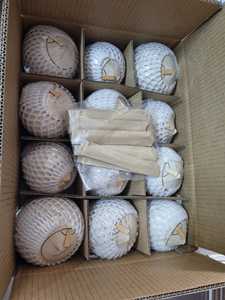 Coco Verde Entero Pelado Fresco de Primera Calidad, Estándar de Exportación, 750g 800g, Calidad Vietnamita, Bebida Tropical Natural y Saludable - Product Image 3