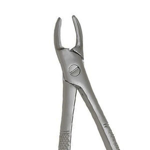 ARISTON INTERNATIONAL Pinzas de Extracción de Molares Inferiores de Calidad Duradera, con Mangos Serrados, Agarre Ergonómico, Acero Inoxidable, Manuales - Product Image 2