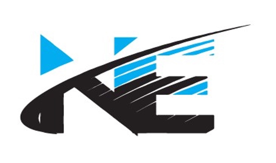 NIDHI EXPORTS logo