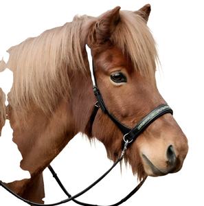 Arnés de Carreras de Caballos inglés, brida, sillín de cuero de estilo occidental hecho a mano en la India - Product Image 4