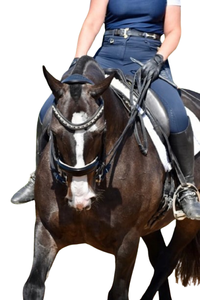 Bridon double en cuir véritable Annabelle, équipement d'équitation de luxe pour chevaux, fournisseur pour la vente en gros. - Product Image 2