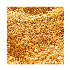 Maïs jaune séché non glutineux, graines matures, qualité alimentaire en vrac pour animaux - Product Image 4