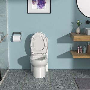 WC in ceramica a doppio filo monopezzo con chiusura morbida - Product Image 1