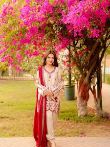Embroidered Indian Pakistani Set Women Long <b>Top</b> Palazzo Dupatta Georgette Style Formal Wear Customizable - Product Image 2
