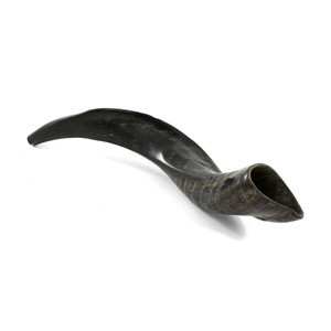 Cuerno de Shofar de Carnero Hecho a Mano, Instrumento Musical Religioso Judío Económico para Adoración, Oración y Ceremonia - Product Image 2