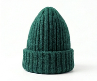 Bonnet classique chaud brodé en 3D unisexe, en tricot doux, pour homme et femme, idéal pour les loisirs et les voyages en extérieur