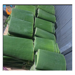 Feuilles de bananier biodégradables pour l'emballage alimentaire naturel, solution d'emballage sans plastique avec qualité standard d'exportation - Product Image 5