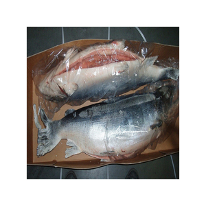 Frozen salmon belly for sale / V-shape Gutted Salmon Fish Head, Frozen Salmon Fish ,Frozen King Salmon Fish - Product Image 5