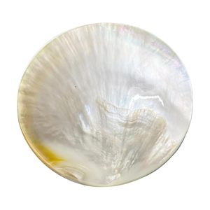 Elegant MOP Sea Shell Appetizer Plate Fish Flower Design Long Frame <b>Mirror</b> Finish Bespoke Logo Engraveable Storage - Product Image 1