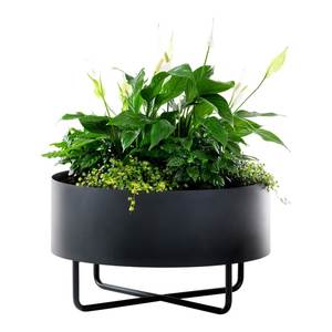 Wall Planters Round Metal Powder Coated Hanging <b>Bracket</b> <b>for</b> Garden Outdoor Use - Product Image 1