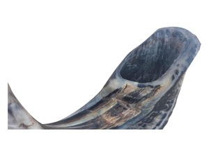 Auténtico Cuerno Shofar de Carnero, Precio Accesible, Hecho a Mano, Cuerno Religioso para Ceremonias y Oraciones - Product Image 5