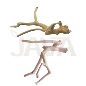 ไม้กาแฟธรรมชาติจากอินโดนีเซีย ยี่ห้อ Javawoood เป็นมิตรกับสิ่งแวดล้อม ทนทาน คุณภาพสูง ที่นั่งนกหลายกิ่ง - Product Image 3