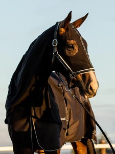 Ventes en gros de couvertures d'équitation pour chevaux, imperméables et respirantes, avec doublure en nylon, pour l'extérieur et l'hiver - Product Image 3
