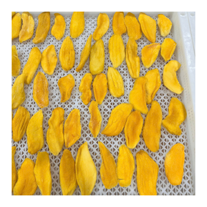Rodajas de Mango Seco Suave de Vietnam, Delicioso Snack de Fruta Blanda y Masticable, Venta al por Mayor Directa de Fábrica con Etiqueta Privada OEM - Product Image 1