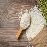 Livraison Rapide Fournisseur Direct d'Usine Riz Arborio Long Grain 100% Pur Biologique Qualité Supérieure Premium Sacs PP 25/50kg Prêts à l'emploi