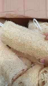 Vietnam Natural Loofah Sponge for Bath and Spa - Product Image 3