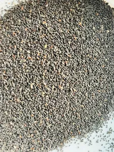 เมล็ดบีซิล (BESIL SEEDS) โอซิมัม บาซิลิคัม ซาบจา (Ocimum Basilicum Sabja) เมล็ดทุกมารีอา เนื้อเจลลี่คล้ายเมล็ดเจีย - เมล็ดเพื่อสุขภาพ แครเดิล ไลฟ์ แบล็ค (CRADLE LIFE BLACK) - Product Image 3