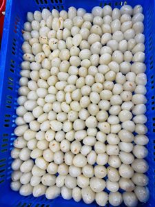 ลิ้นจี่แช่แข็งแบบ IQF ยี่ห้อ COP CARMER บรรจุภัณฑ์สุญญากาศ ผลไม้ทั้งลูก รสหวานธรรมชาติ จากฮ่าเจียง เวียดนาม อายุการเก็บรักษา 24 เดือน น้ำหนัก 1 กิโลกรัม ไม่เติมน้ำตาล - Product Image 4