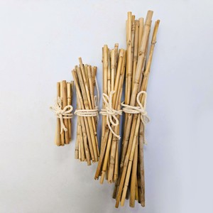 Bamboo stakes cheapest price natural raw cane stake sturdy <b>pole</b> <b>for</b> interior exterior applications - Product Image 5