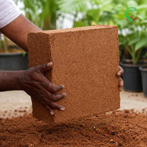 Shrink <b>Wrapped</b> <b>Palletized</b> 5Kg Cocopeat Block Low EC Buffered Coir Pith Export Grade Bulk Supplier 40HQ Container Exporter India - Product Image 4