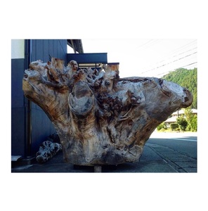 Tronc de bois de camphre brut, matières premières, tranche de bois décorative, produits fabriqués au Japon - Product Image 1
