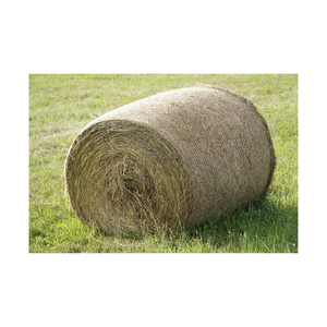 High Quality Natural Rhodes <b>Grass</b> Hay Feed Grade <b>Dried</b> Agricultural Feed Material 2 Year Shelf Life Top Grade Livestock Pig Use - Product Image 5