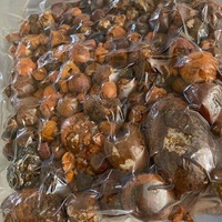 Cálculos Biliares de Buey 100% Naturales de Primera Calidad, Cálculos Biliares de Ganado, Cálculos Biliares de Vaca, Venta Caliente a Precio de Fábrica, Compre Cálculos Biliares de Vaca en Venta