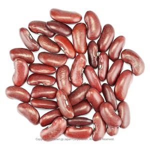 Frijol Rojo Orgánico Premium Seco con Color Natural y Clasificación Cuidadosa para la Demanda Global de Importación de Alimentos - Product Image 2
