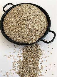 Factory Supply Premium Pure Natural Dried Black Chia Seed Food Grade Wild Resin Solvent <b>Extracted</b> Vacuum Packed NL 0.4g All - Product Image 3