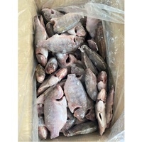 Tilapia entière IQF/congelée en bloc, haute qualité du Vietnam, VH Food, 300-500g/500-800g, faible teneur en sel et en matières grasses, scellée sous vide, issue d'élevage, en morceaux