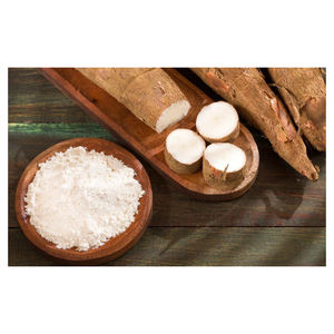 Almidón de yuca de calidad alimentaria premium para cocinas comerciales, restaurantes y servicios de catering. - Product Image 1