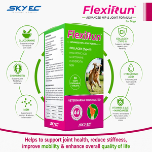อาหารเสริมบำรุงข้อต่อสุนัข FlexiRun พร้อมกลูโคซามีน คอนดรอยติน และ MSM ชนิดเม็ด - บำรุงสะโพกและข้อต่อขั้นสูง 30 เม็ด ปราศจากธัญพืช - Product Image 4