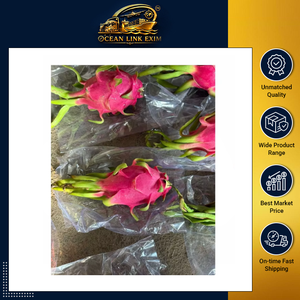 ขายส่งผลไม้แห้งคุณภาพสูง OEM ผลมังกรแห้งเนื้อขาวจากอินเดีย - Product Image 2