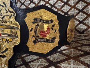 Cinturón de Campeón Mundial de Lucha Libre TNA, Chapado en Oro, Cuero PU, Unisex, Equipo de Artes Marciales - Product Image 2