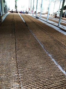 ตาข่ายใยมะพร้าวธรรมชาติสำหรับควบคุมการกัดเซาะของดิน จัดสวน ป้องกันความลาดเอียง - Product Image 6