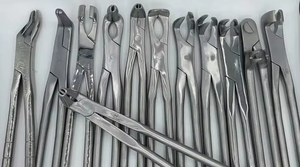 12 Pieces Set High Quality Adjustable Stainless Steel Dental Horse Forceps | Equine Tooth Extraction <b>Veterinary</b> <b>Instruments</b> - Product Image 2