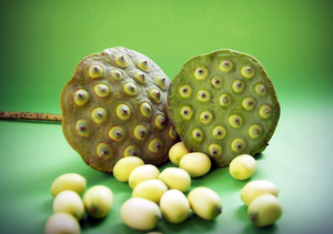 เมล็ดบัวลวกและเมล็ดสำหรับทำอาหาร - Product Image 3