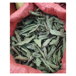 Té de Hoja de Guayaba de Marca Privada, Empaque Personalizado, Fabricante OEM de Vietnam - Product Image 5