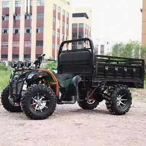 Potente Cuatrimoto Chithan 4X4 Todoterreno, Buggy con Motor de 350cc y 4 Tiempos, Transmisión Automática, Bloqueo de Diferencial, Plástico ODM - Product Image 3