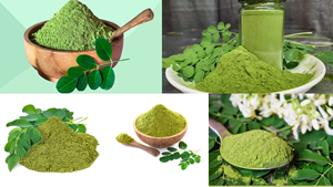 ใบมะรุมอบแห้งฉลากส่วนตัว บรรจุภัณฑ์แบบซองตามสั่ง ชาสมุนไพร คุณภาพพรีเมียม โรงงานผลิตแบบ OEM - Product Image 2