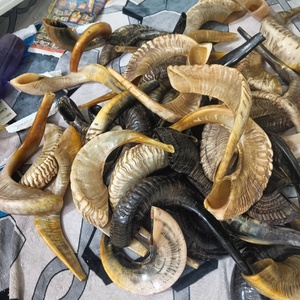 Shofar en corne de bœuf fait main, corne naturelle, instrument religieux juif pour la cérémonie de Rosh Hashanah, Yom Kippur, la prière et la liturgie. - Product Image 3