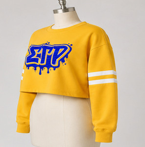 Sudadera Corta Amarilla para Mujer con Letras Sigma Tau Rho en Azul, Manga Larga, con Capucha, Tejida en Algodón, Forrada, Estilo Y2K, para Invierno - Product Image 4