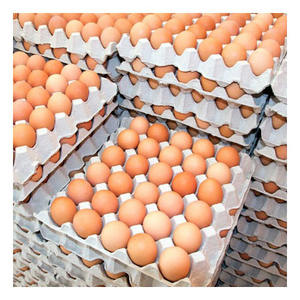 Œufs de poule bruns frais en vrac, adaptés à la pâtisserie, à la cuisine et à la fabrication alimentaire - Product Image 5