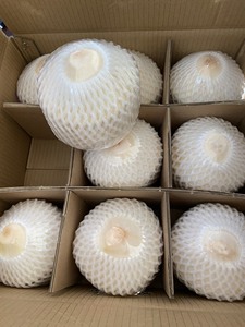 100% Fresh Diamond Coconut Mejor oferta al por mayor para el mercado de los Emiratos Árabes Unidos | Proveedor de frutas de alta calidad de Vietnam - Product Image 4