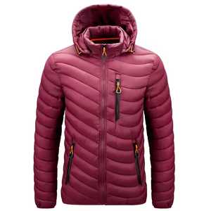 Chaqueta Acolchada con Capucha para Hombre, Invierno, Delgada, Relleno de Poliéster, Cortavientos, Casual, Cierre Frontal con Cremallera, Diseño con Bloques de Color, Corte Regular, Exterior de Algodón - Product Image 4