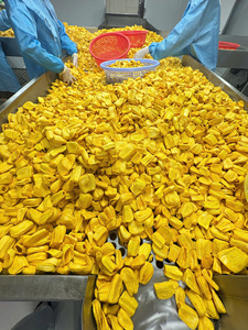 Jacquiero Congelado Favorito de los Clientes para Uso Industrial |   Carne Vegana de Etiqueta Limpia |   Cadena de Suministro Sostenible - Product Image 6