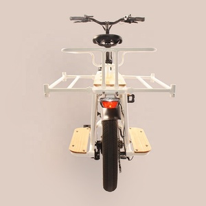 Vélo utilitaire électrique à longue portée RaiderWagon-602s 26''20''48V30AH <span class=keywords><strong>750W</strong></span> avec double batterie au lithium et capacité de charge ultra-élevée - Product Image 2